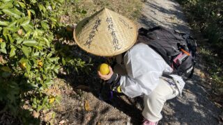 妊娠25週お遍路巡り①│歩きで1番札所から10番札所までの記録