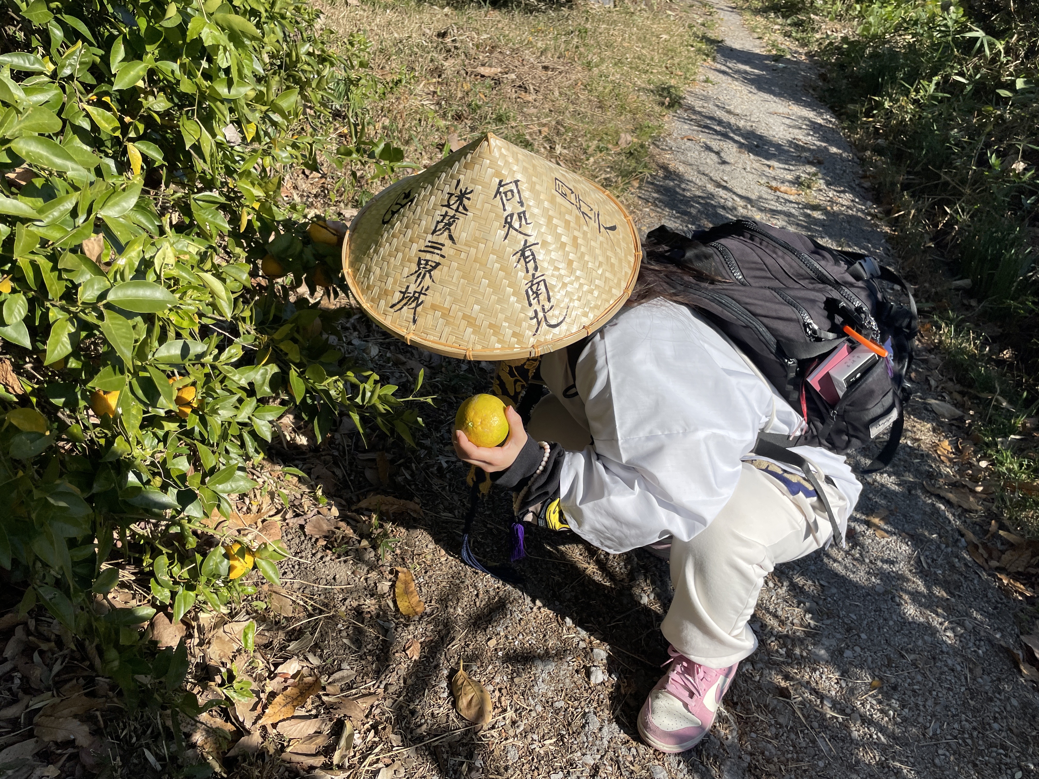 妊娠25週お遍路巡り①│歩きで1番札所から10番札所までの記録