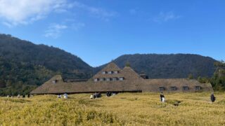 妊娠31週日帰り旅in滋賀│気になった観光地11ヶ所まとめました!