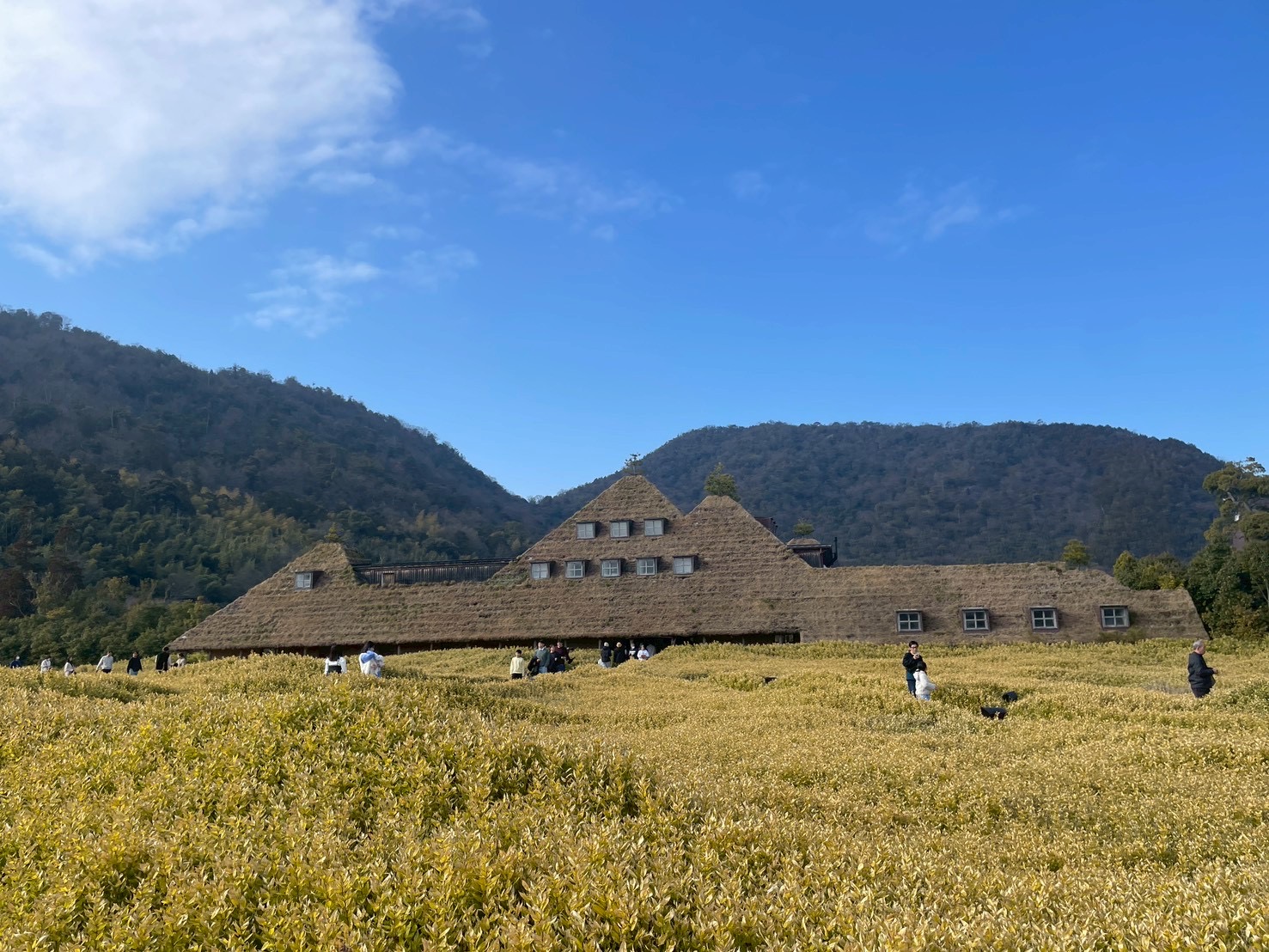 妊娠31週日帰り旅in滋賀│気になった観光地11ヶ所まとめました！
