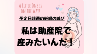 私は助産院で産みたい!産みたいんだ!産ませてくれ!
